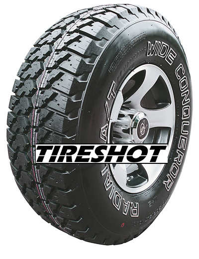 Nankang N830 Tire